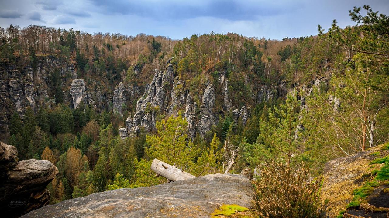 Ferienwohnung Zum Sebnitzer Hirsch Exterior foto